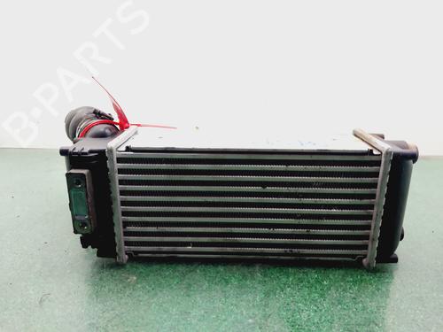 Intercooler PEUGEOT 307 (3A/C)  | BP30061336M30