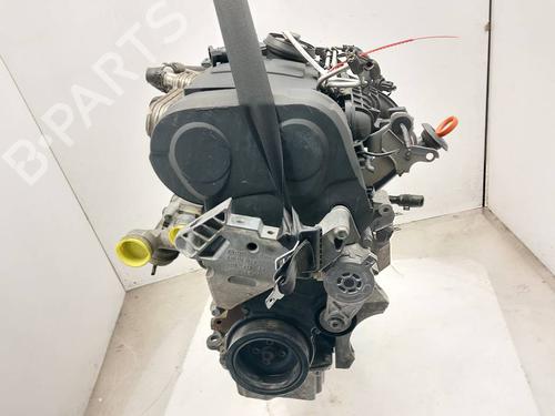 Engine SEAT LEON (1P1)  | BP38567980M1  - Image 6