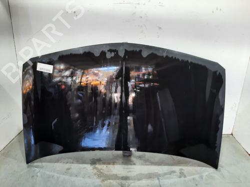 Panser RENAULT MEGANE II (BM0/1_, CM0/1_) 1.4 16V (BM0B, CM0B) (98 hp) 14983772
