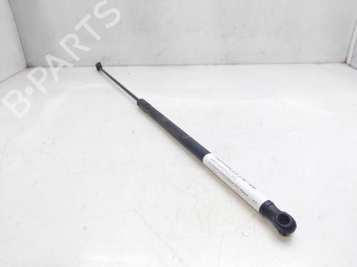 Used Hood lift support VW PASSAT B6 (3C2) [2005-2010]  18037444