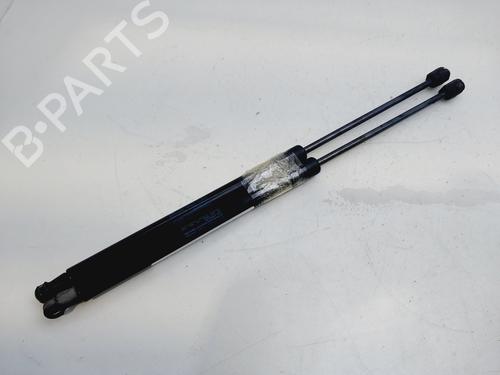 Used Tailgate lift support SKODA FABIA II (542) 1.6 TDI (75 hp) 18838720