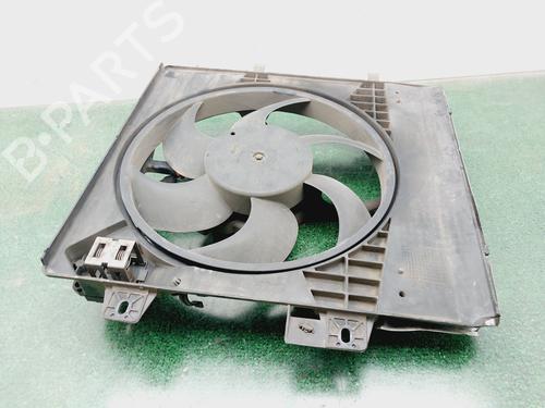 Radiator fan PEUGEOT 207 (WA_, WC_)  | BP28727865M35 