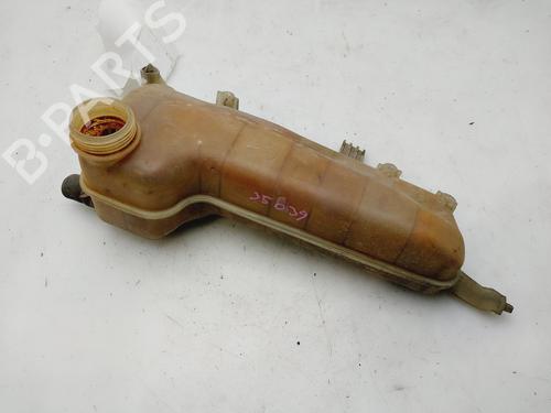 Ekpansionstank RENAULT KANGOO (KC0/1_) 1.2 (KC0A, KC0K, KC0F, KC01) (58 hp) 20225266