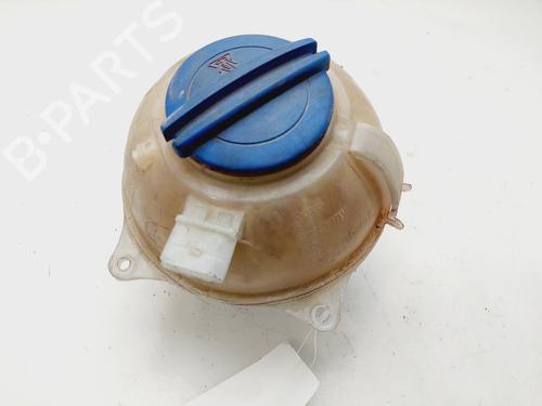Used Expansion tank SKODA RAPID (NH3, NK3, NK6) 1.6 TDI (105 hp) 20103683