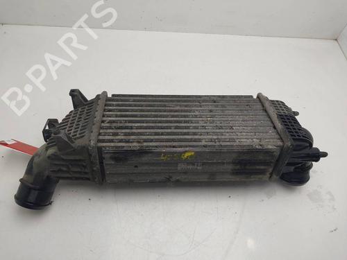 Intercooler CITROËN C5 III (RD_) 2.0 HDi 165 (RDRHHA, RDRHH8) | BP40022560M30 - Image 5