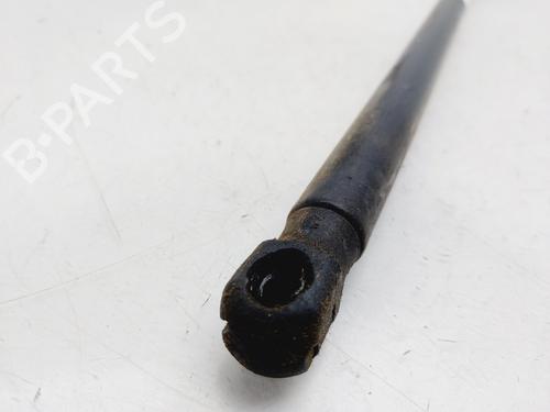 Hood lift support AUDI A4 B8 (8K2)  | BP27474067C139 