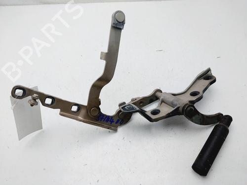 Hinge/Door check strap MERCEDES-BENZ S-CLASS (W221, V221) S 500 (221.071, 221.171) | BP25902719C146 