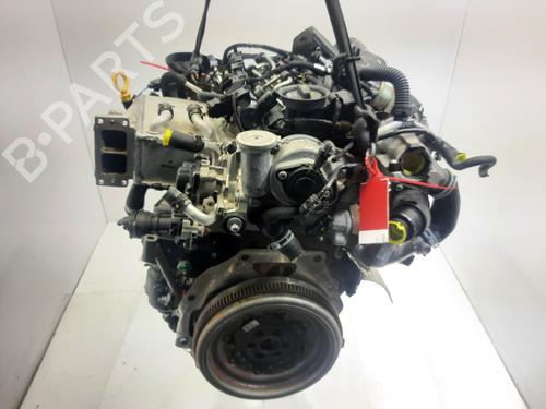 Motor AUDI A3 Convertible (8V7, 8VE) 2.0 TDI | BP29565351M1 