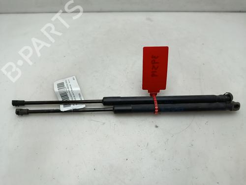 Tailgate lift support SEAT IBIZA IV SC (6J1, 6P5)  | BP29242429C138 