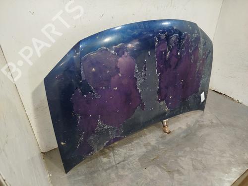 Hood VW TOURAN (1T1, 1T2)  | BP29448597C1 
