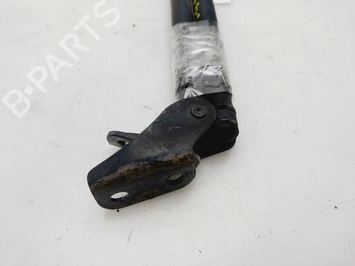 Tailgate lift support SUZUKI SWIFT III (MZ, EZ)  | BP29911109C138
