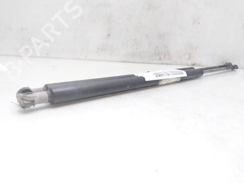 Tailgate lift support BMW X5 (E53)  | BP14009459C138 