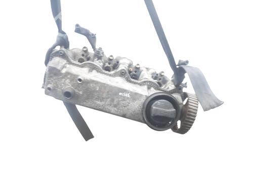 Used Cylinder head SEAT IBIZA III (6L1) [2002-2009]  25493210