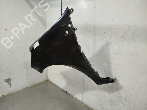 Left front fenders RENAULT CLIO III (BR0/1, CR0/1) 1.4 16V | BP28729292C41 