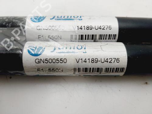 Tailgate lift support VW GOLF IV (1J1)  | BP29908784C138 