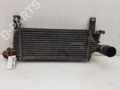 Intercooler NISSAN PATHFINDER III (R51) 2.5 dCi (174 hp) 17916560