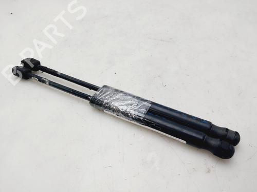 Hood lift support LAND ROVER RANGE ROVER EVOQUE (L538)  | BP25880268C139 