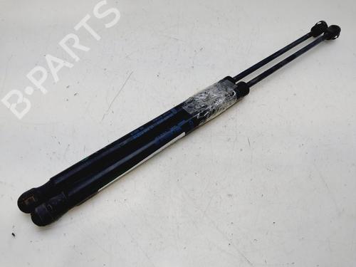 Tailgate lift support FORD FOCUS II (DA_, HCP, DP) 1.6 TDCi | BP30560869C138