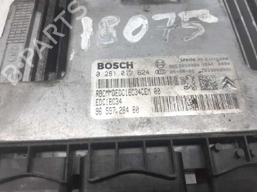 Engine control unit (ECU) CITROËN C5 II (RC_)  | BP4948887M57 