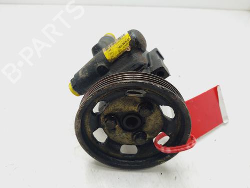 Styring servopumpe RENAULT KANGOO (KC0/1_) 1.2 (KC0A, KC0K, KC0F, KC01) (58 hp) 21586116