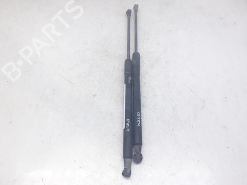 Used Tailgate lift support BMW 1 (F20) 116 d (116 hp) 13996440