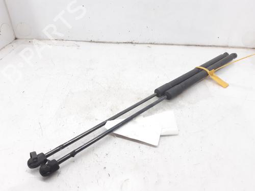 Tailgate lift support FORD KUGA I  | BP13998191C138