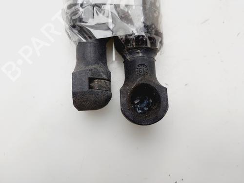 Tailgate lift support DACIA LODGY (JS_) | BP31316392C138