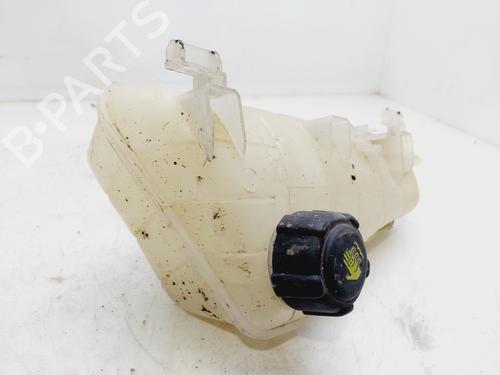 Expansion tank RENAULT KANGOO BE BOP (KW0/1_) 1.5 dCi 75 | BP19914932C120 
