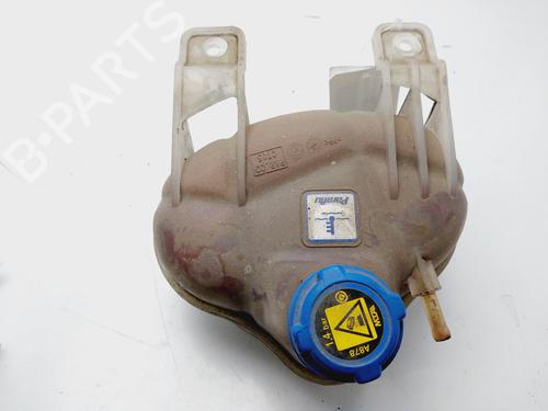 Expansion tank FIAT GRANDE PUNTO (199_) 1.3 D Multijet | BP19641900C120 