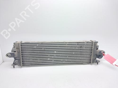 Intercooler RENAULT TRAFIC II Bus (JL) 2.0 dCi 115 (JL00, JL01, JL0H, JL0M, JL0U) | BP37681899M30 - Image 3