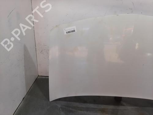 Hood RENAULT MEGANE II (BM0/1_, CM0/1_) 1.5 dCi (BM02, BM13, BM2A, CM02, CM13) | BP13914746C1 