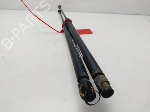 Tailgate lift support CITROËN XSARA (N1) 1.6 i | BP24532951C138 