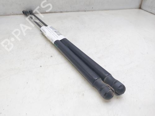 Tailgate lift support FORD FIESTA VI (CB1, CCN) 1.25 | BP16344717C138 
