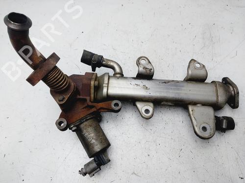 Used Egr SSANGYONG REXTON / REXTON II (GAB_) 2.7 D 4x4 (186 hp) 28113265