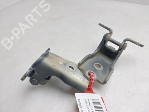 Used Hinge/Door check strap Hinge/Door check strap OPEL ANTARA A (L07) [2006-2017] 36019735 36019735