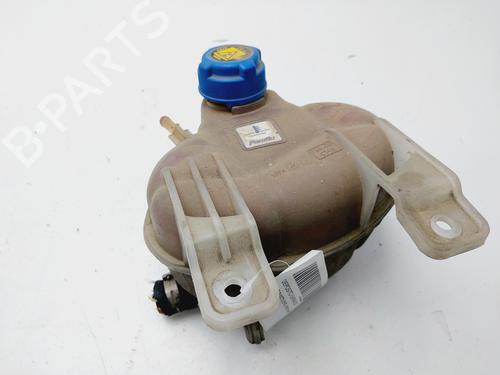 Used Expansion tank FIAT GRANDE PUNTO (199_) 1.3 D Multijet (69 hp) 19641900
