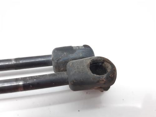 Tailgate lift support FORD FIESTA V (JH_, JD_) 1.4 TDCi | BP14005563C138 
