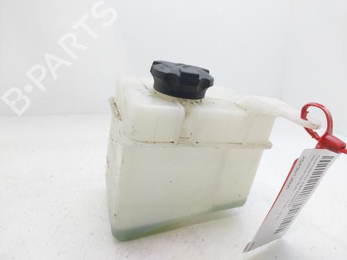 Expansion tank HYUNDAI i20 I (PB, PBT)  | BP25713308C120