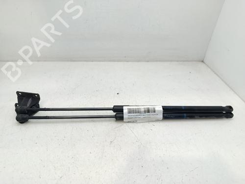 Ammortizzatore portellone posteriore Ammortizzatore portellone posteriore PEUGEOT 5008 (0U_, 0E_) [2009-2017] 36212576 36212576