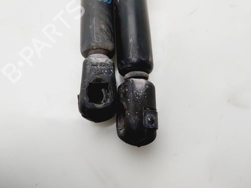 Tailgate lift support CITROËN C4 I (LC_) | BP31070186C138