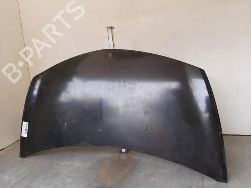 Hood RENAULT CLIO III (BR0/1, CR0/1) 1.4 16V | BP10540955C1 