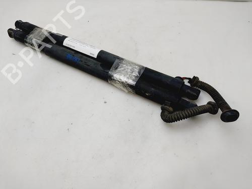 Gassdemper Bakluke BMW X6 (E71, E72) xDrive 30 d (235 hp) 27090910