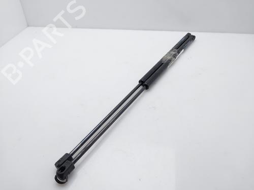 Tailgate lift support CITROËN SAXO (S0, S1) 1.5 D | BP16184191C138 