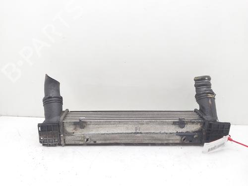 Intercooler BMW 3 Touring (E91) 320 d | BP16525612M30 