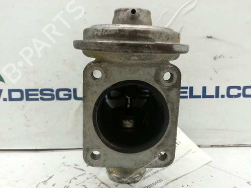 Egr BMW 3 (E46) 330 d | BP2900162M69 