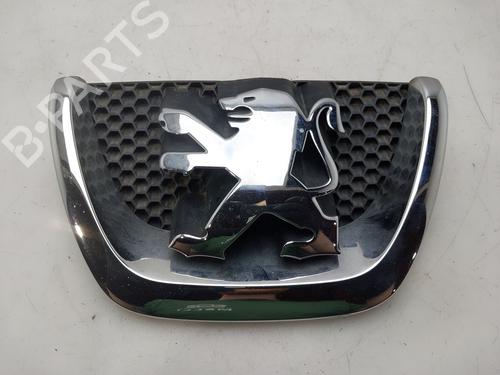 Used Grille Grille PEUGEOT 207 SW (WK_) 1.6 HDi (109 hp) 36392284 36392284