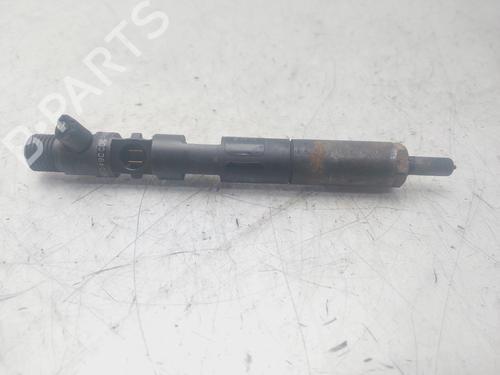 Injector RENAULT SCÉNIC II (JM0/1_)  | BP29497284M100 