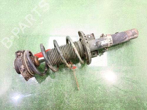 Right front shock absorber SEAT IBIZA III (6L1)  | BP29054697M17 