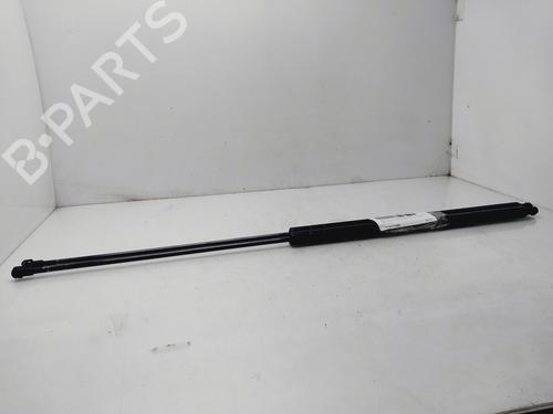 Tailgate lift support SEAT TOLEDO III (5P2)  | BP21516815C138 