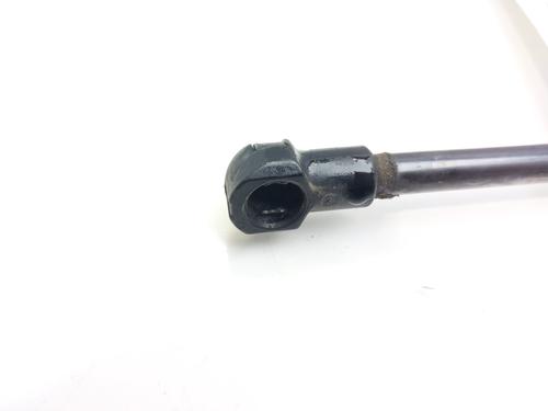 Hood lift support VW CADDY III Box Body/MPV (2KA, 2KH, 2CA, 2CH) 2.0 SDI | BP14007688C139 